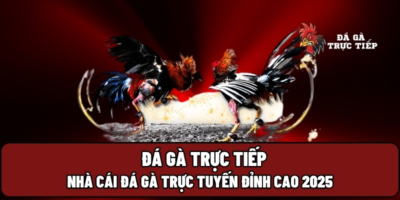 da ga truc tiep 1