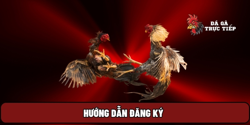 Đá Gà Trực Tiếp 22 Hướng dẫn đăng ký
