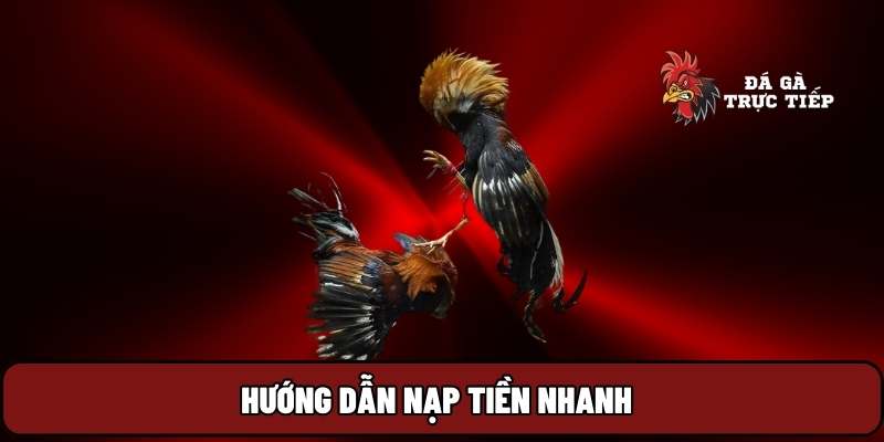 Đá Gà Trực Tiếp 23 Hướng dẫn nạp tiền nhanh