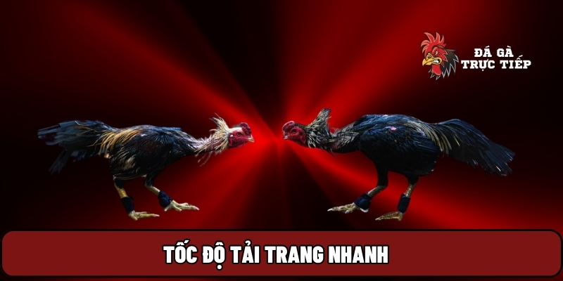 Đá Gà Trực Tiếp 13 Tốc độ tải trang nhanh