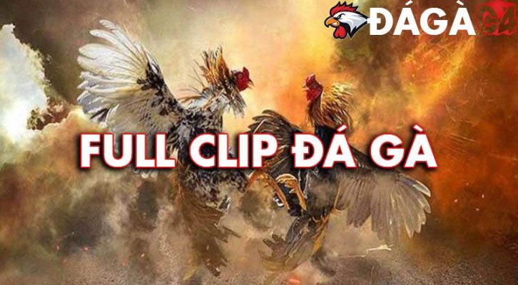 6FAE93DD 317B 4DFD AAB3 24951D5084EC 199